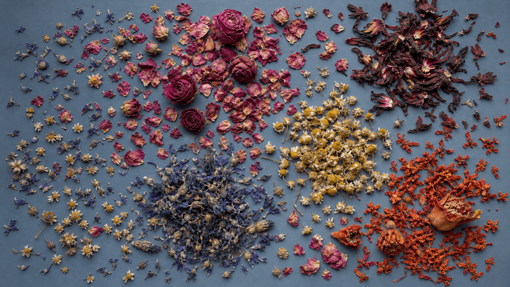 Dried petals